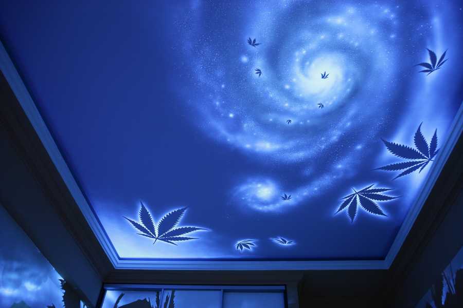 фото друзей